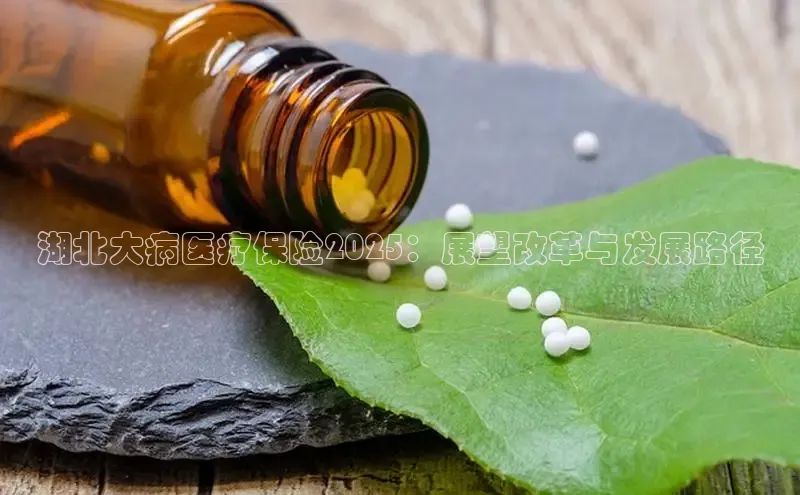 3377体育官方在线登录入口