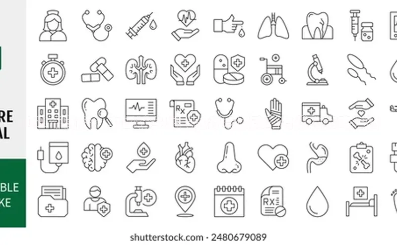 3377体育app登录入口手机版