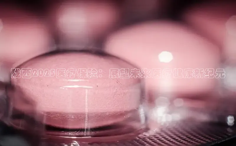 3377体育官网入口网页版