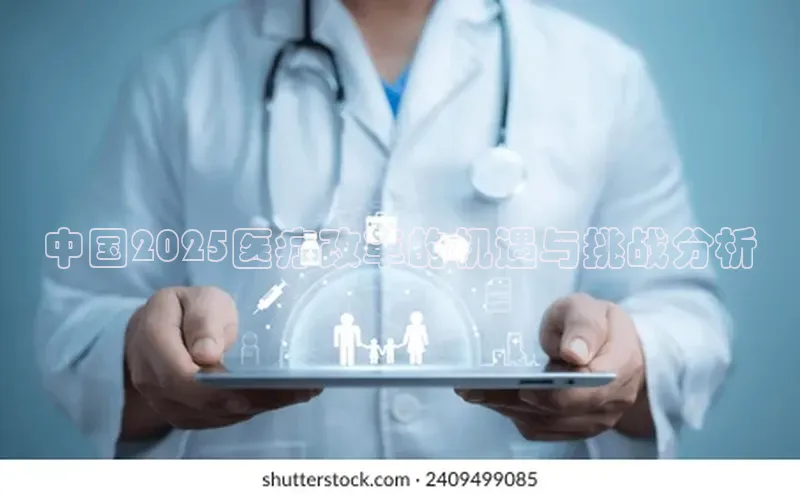 3377体育网站平台登录