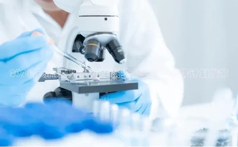 3377体育官方在线登录入口