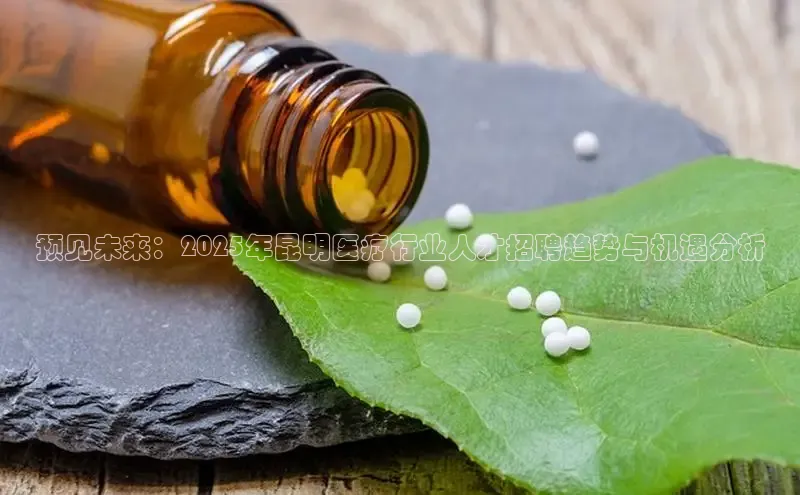 3377体育app登录入口