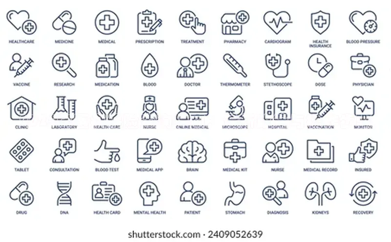 3377体育官网入口网页版