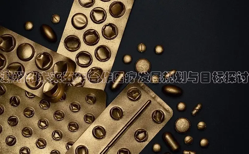 3377体育app登录入口手机版