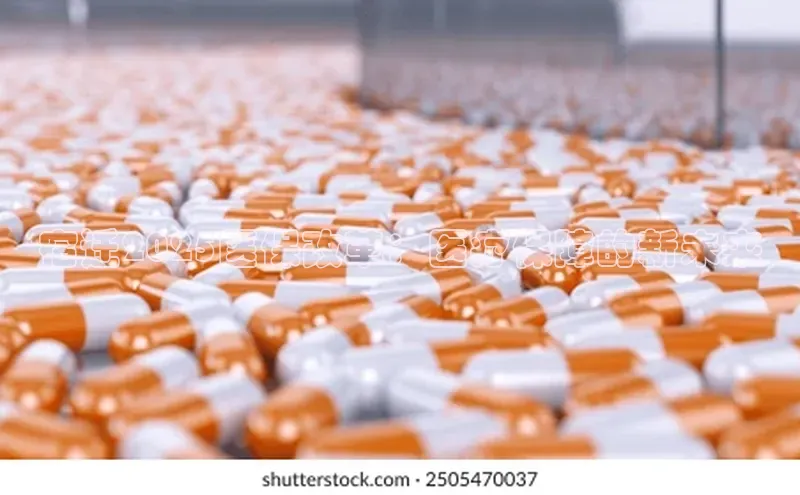 3377体育app官方网站