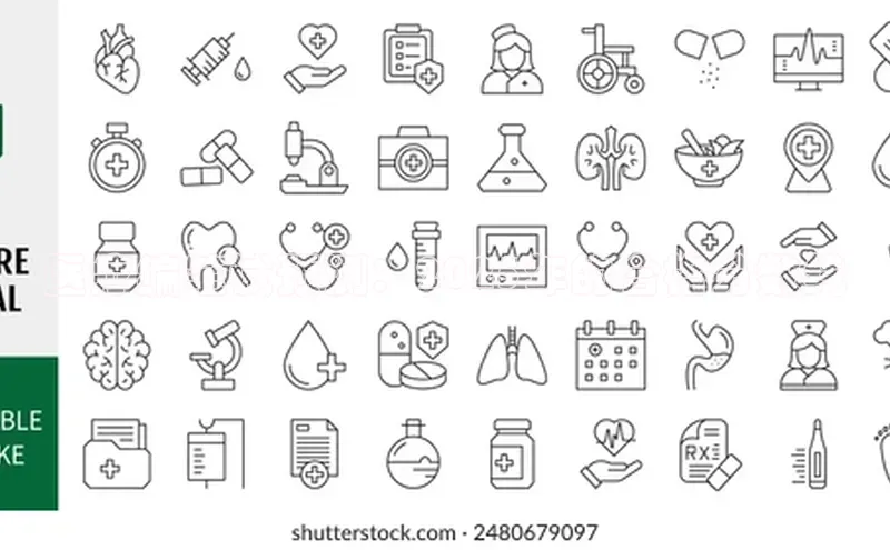 3377体育app登录入口手机版