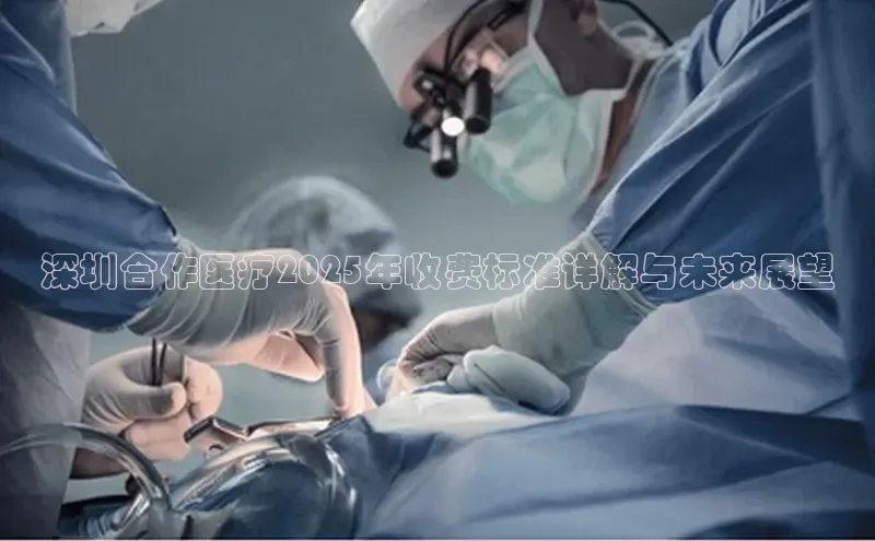 3377体育网页入口