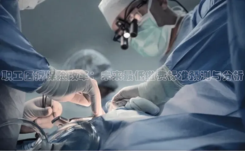 3377体育官网下载